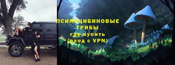 прущие грибы Алексеевка