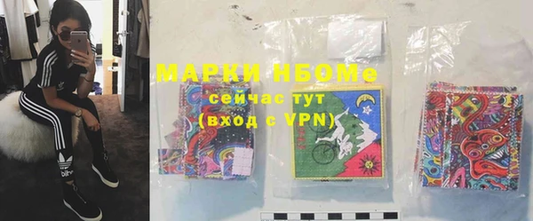 прущие грибы Алексеевка