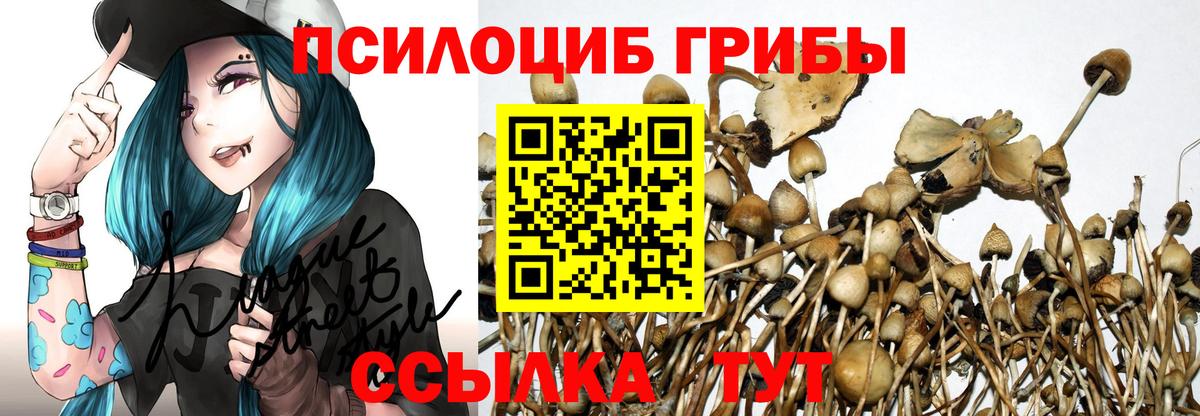 Апшеронск  Псилоцибиновые грибы Psilocybe  Вход с VPN 