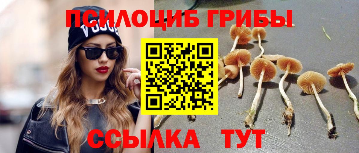 Галлюциногенные грибы MAGIC MUSHROOMS Апшеронск