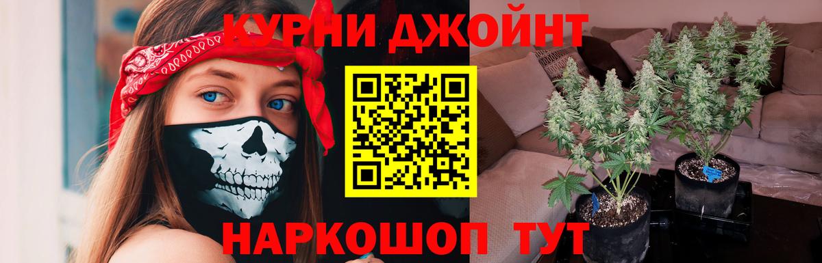Конопля White Widow  Вход с VPN  Каннабис White Widow  Канабис ГИДРОПОН  Апшеронск 